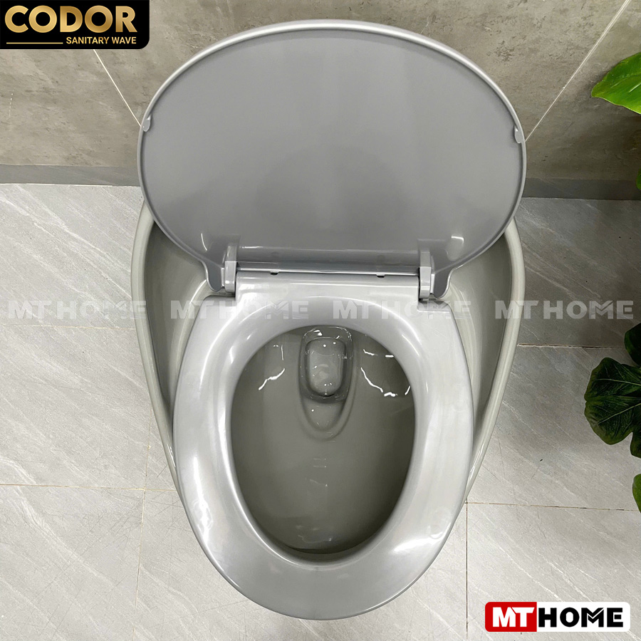 bon-cau-trung-xam-van-noi (3) bồn cầu trứng vân nỗi