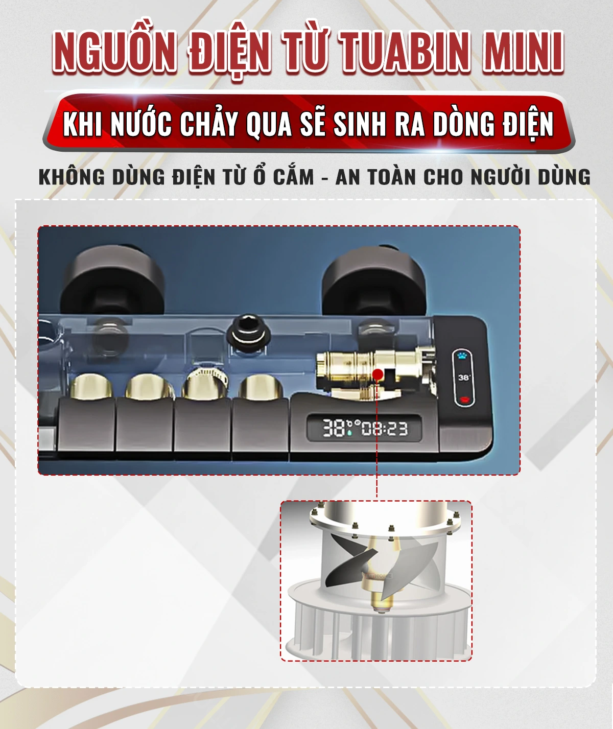 sen-cay-tam-nong-lanh-1