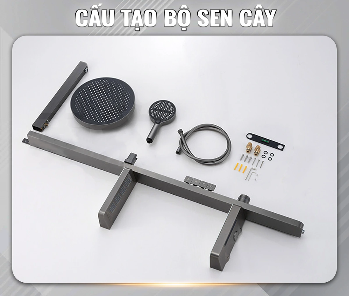 sen-cay-tam-the-he-moi-9