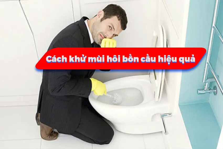 vệ sinh toilet