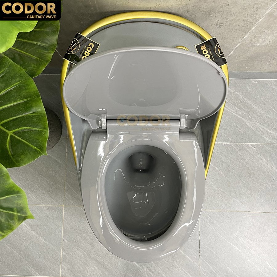 bồn cầu trứng xám viền vàng
