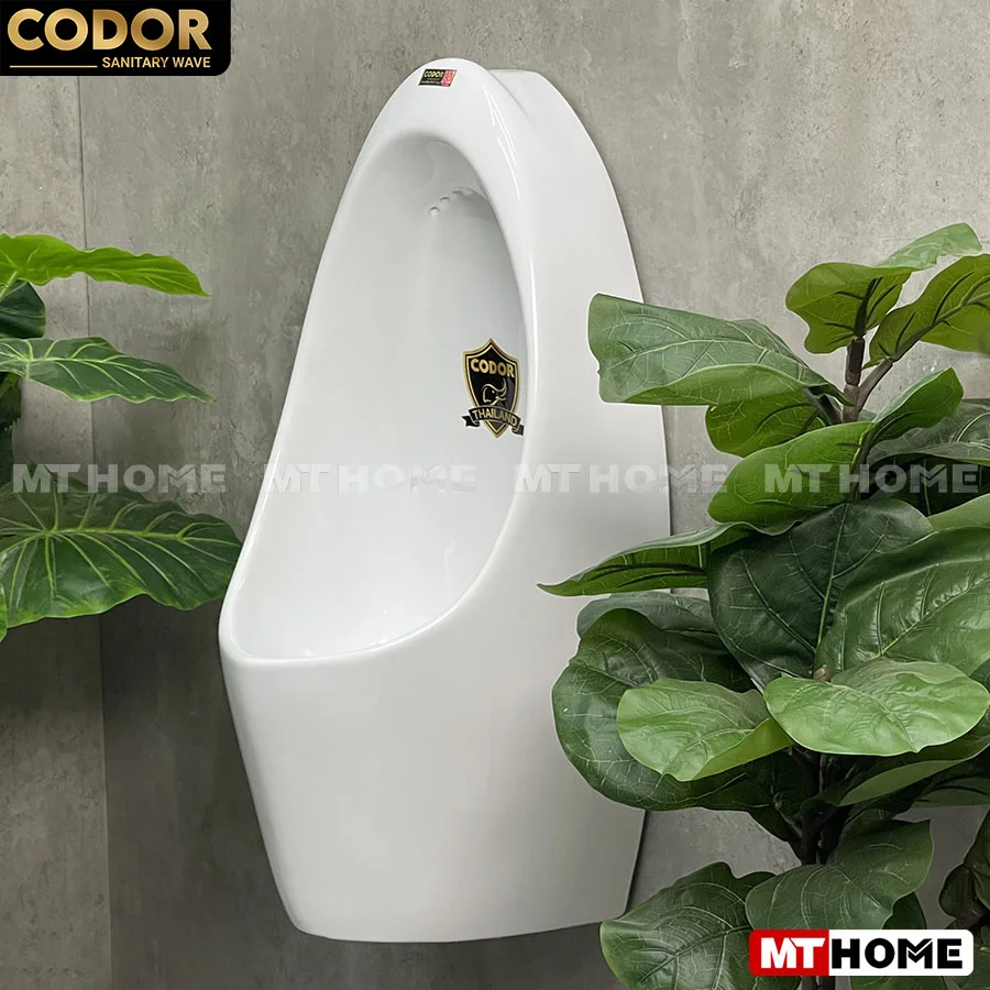 bồn tiểu nam treo tường