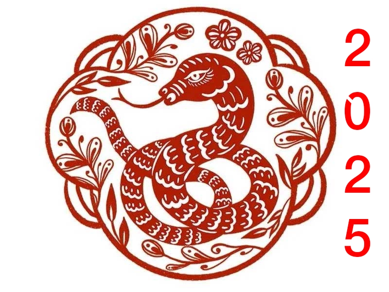 ất tỵ 2025