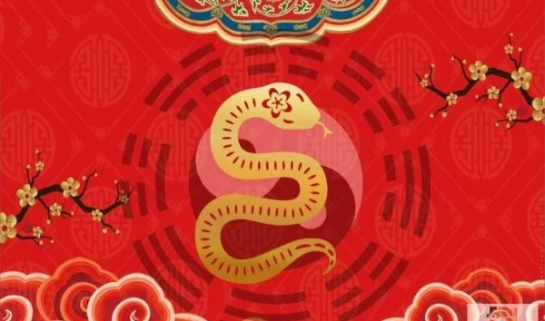 ất tỵ 2025