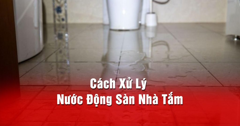Xử Lý Nước Động Nhà Tắm